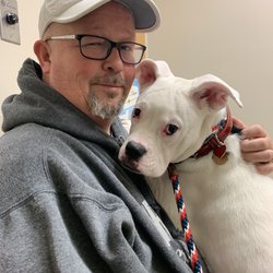 vca west 86th street animal hospital