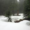 Nesmith Point Trail