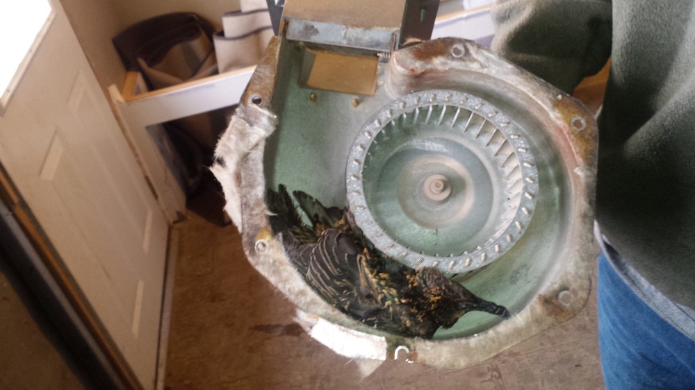 Mullen Home Repair