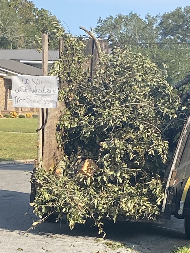Woodland Tree Service