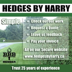 Hedges By Harry