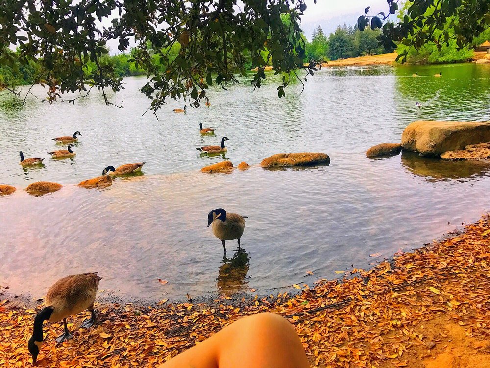 Woodward Park 294 Photos & 80 Reviews Parks 7775 Friant Rd