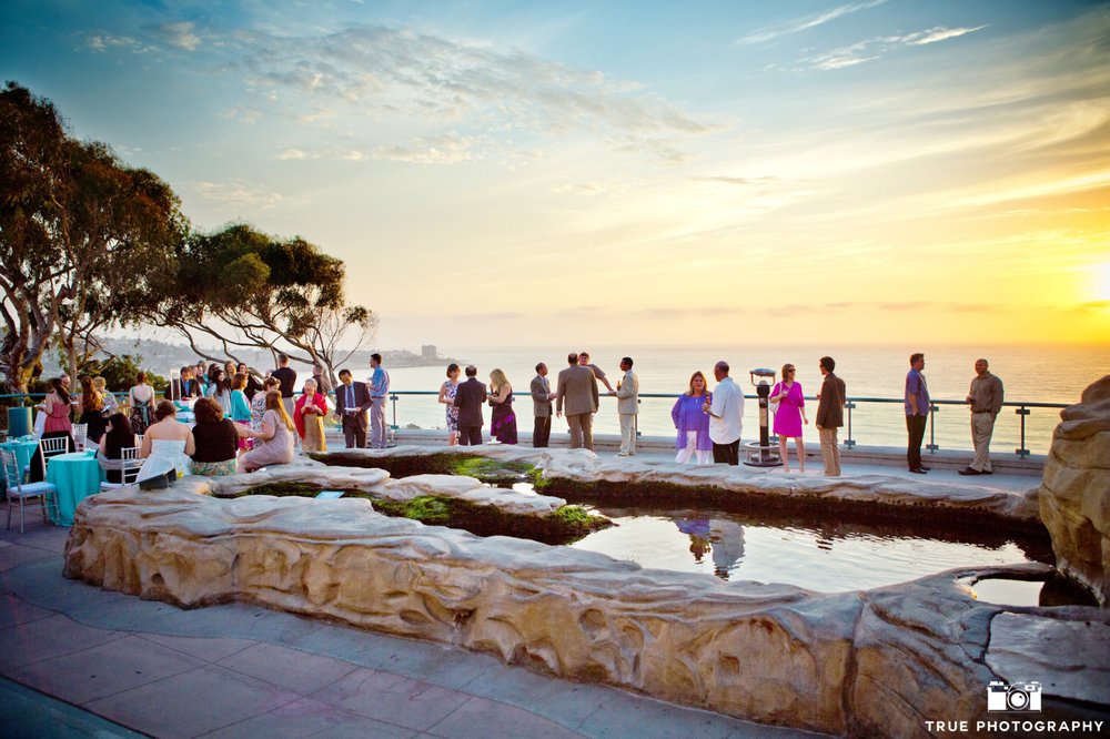 Birch Aquarium 2321 Photos & 789 Reviews Aquariums 2300