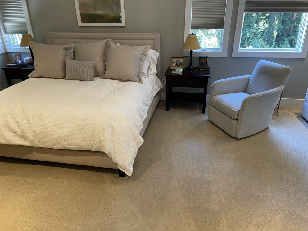 Luz Pro Cleaning Service