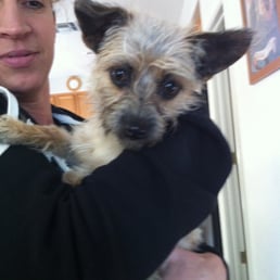 Oakley Animal Shelter Oakley Animal Shelter