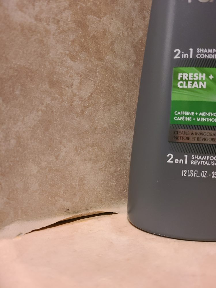 The Grout Medic of Raleigh