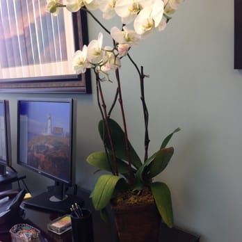 Photo Of Green Door Design Mill Valley Ca United States Orchid From Photo Of Green Door Design Mill Valley Ca United States Orchid From