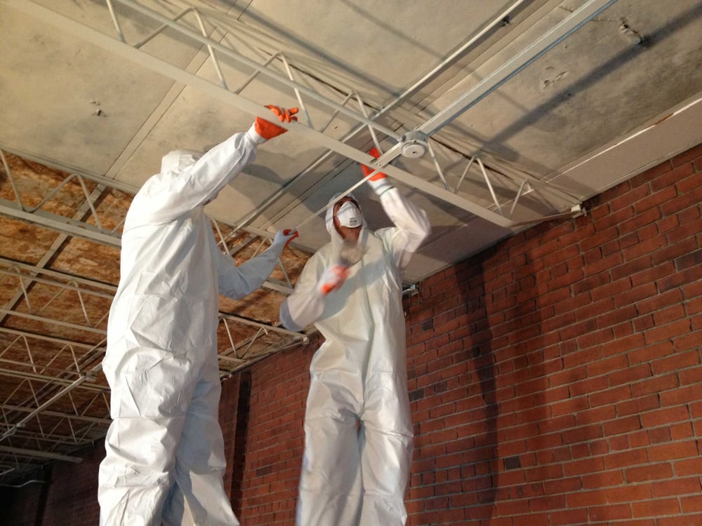 image of business Affordable Mold & Duct Cleaners