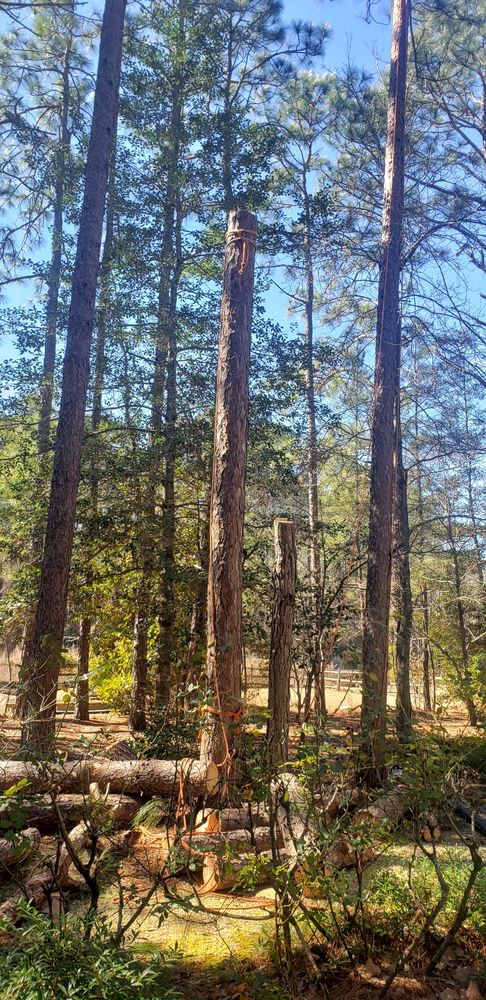 GGG Landscaping and Tree service