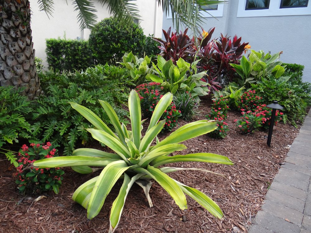 Exotic Gardens Landscaping & Beyond