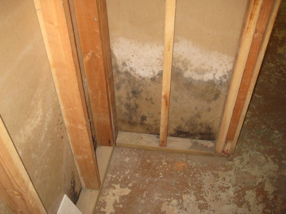Basement Technologies Of Central Jersey Contractors 301 E Ward Basement Technologies Of Central