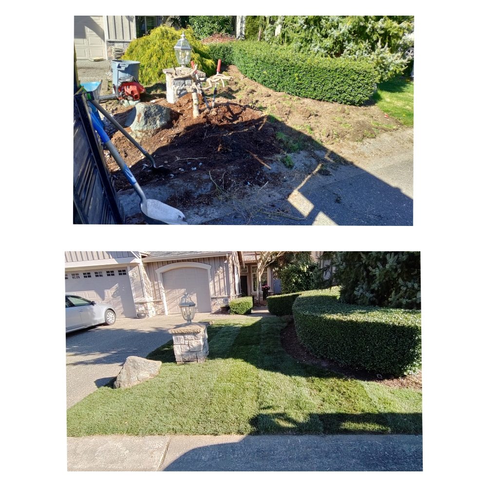 Evergreen Martinez Landscaping