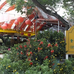 Chin Ling Nursery Landscaping 10 Bedok South Rd Siglap Photo Of Chin Ling Nursery Singapore Cny 2017