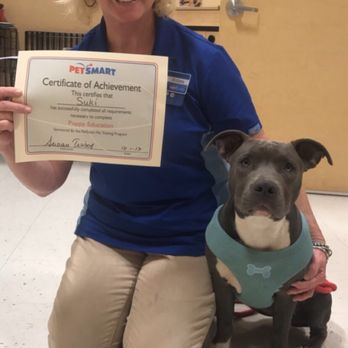 petsmart bather