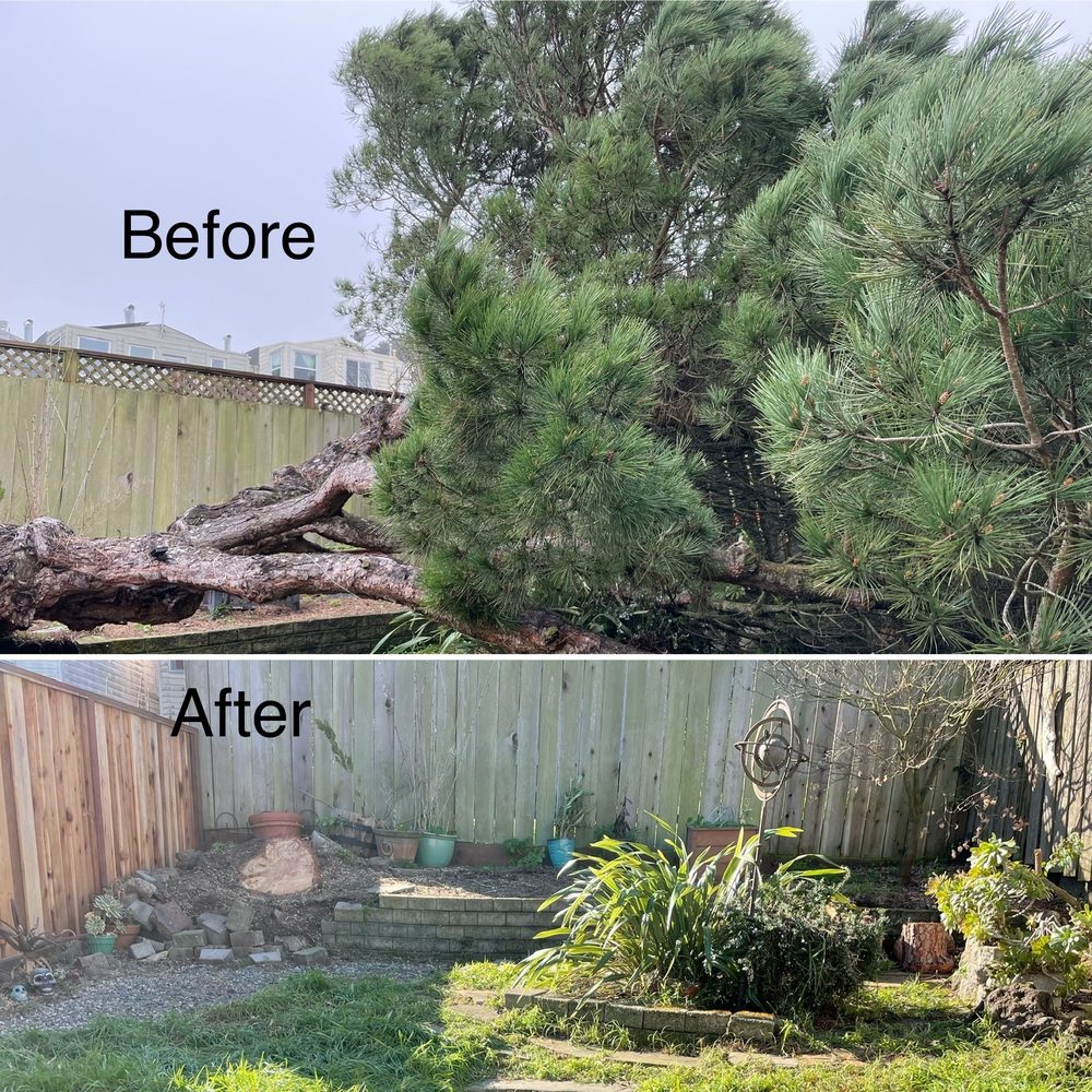 Jesus and Sons Landscape Construction Co