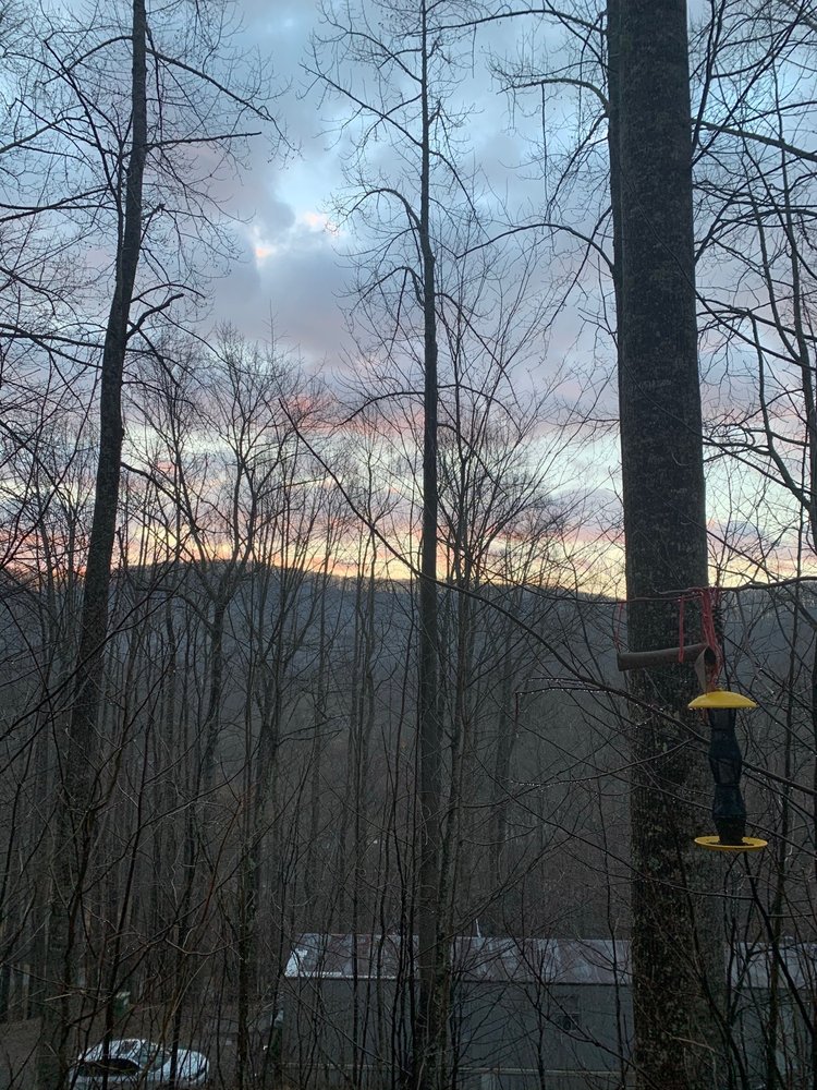 John's Auto Detailing