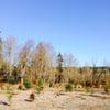 Clear Creek Park gift card