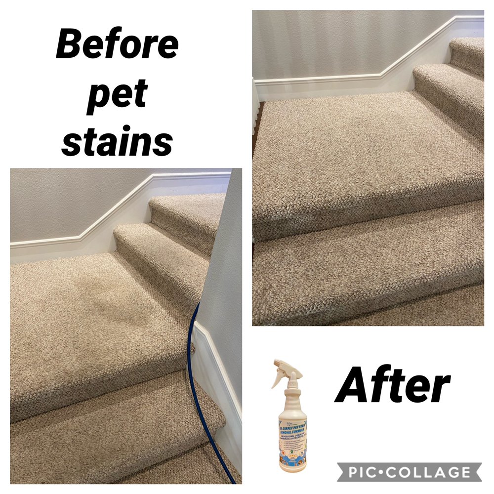 Dr. Carpet