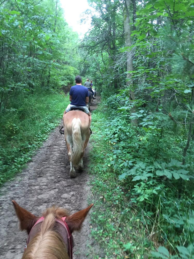 Red Ridge Ranch Riding Stables 15 Reviews Horseback Riding W4881