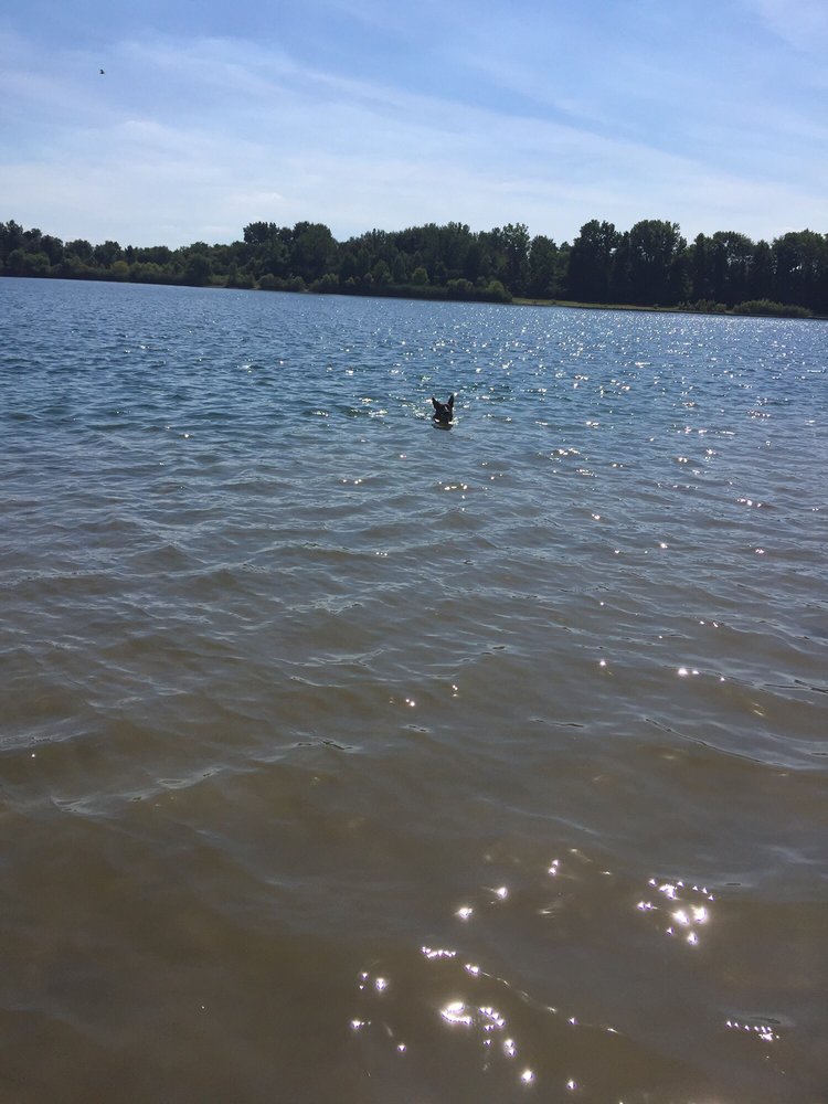 Falls Township Dog Park 13 Photos Dog Parks Wheatsheaf Lane & Penn Valley Rd, Bucks, PA Yelp