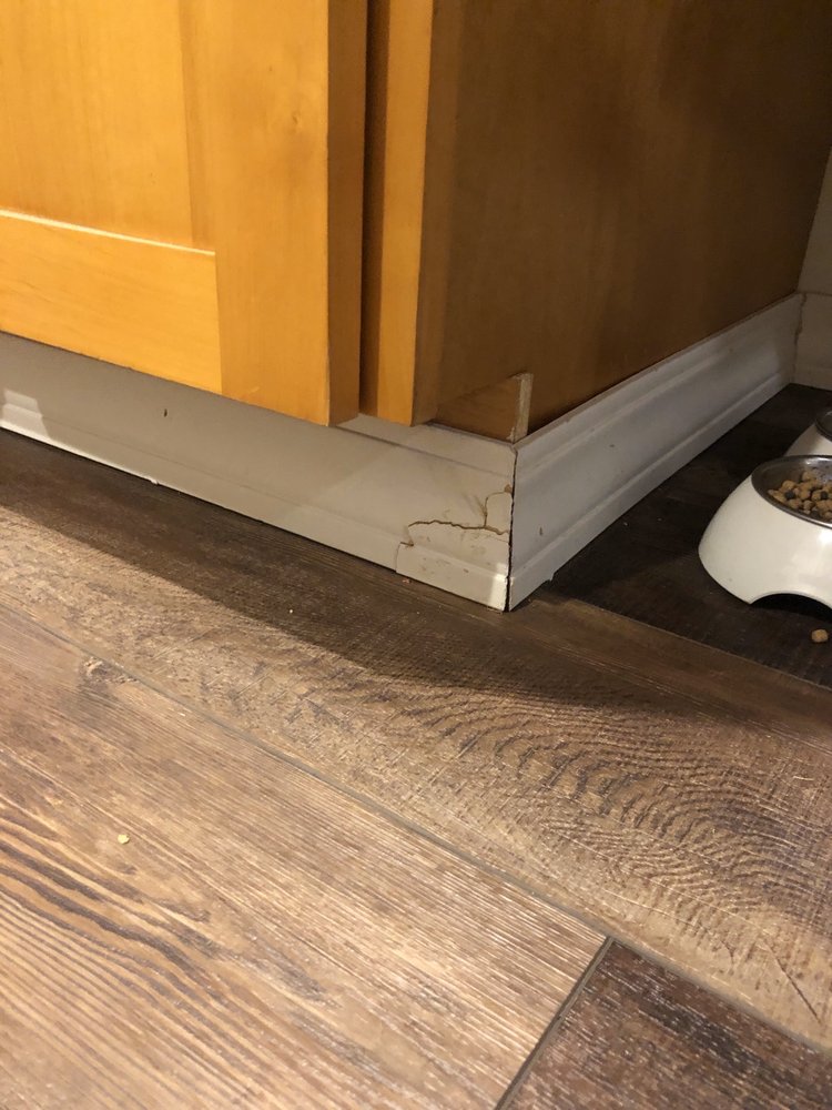 image of business Carpet Barn