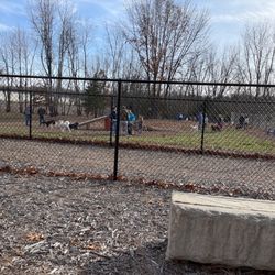 user provided Bark Yard photo