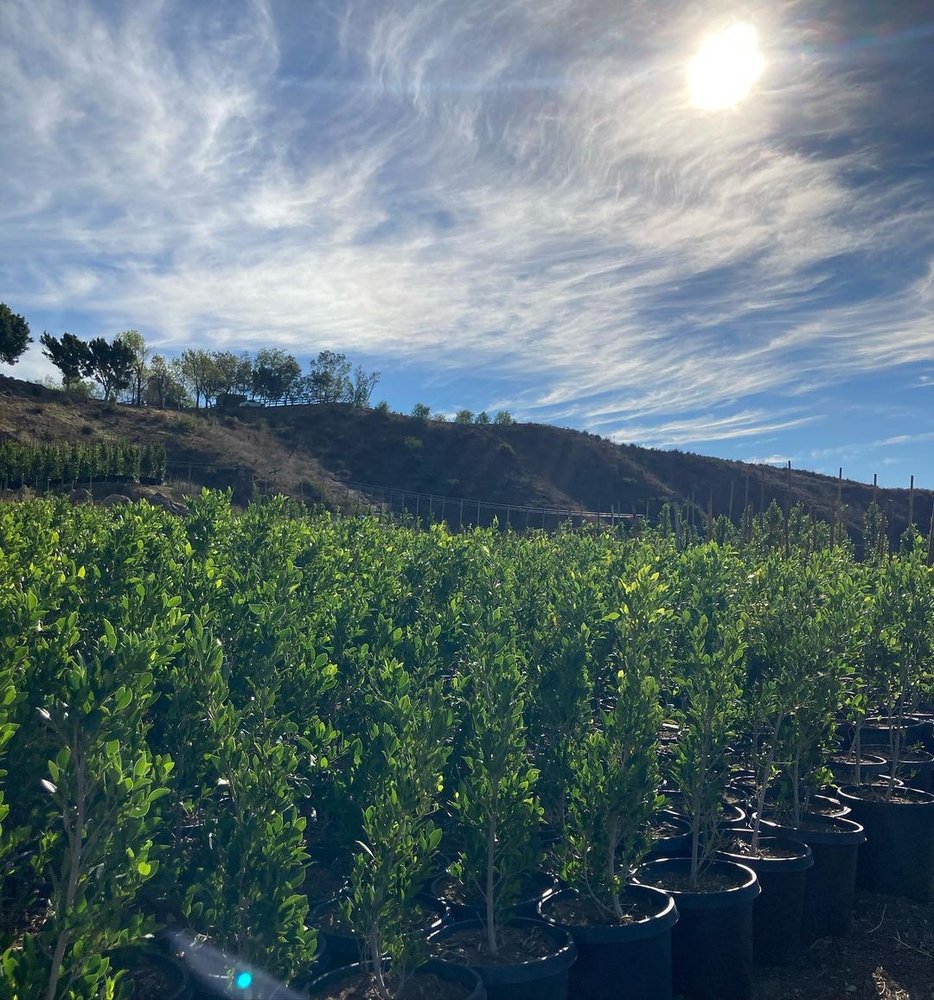 Bonilla Nurseries