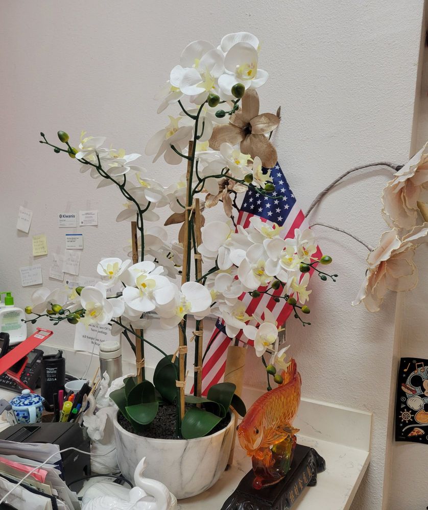 Orchid Pavillion Cafe