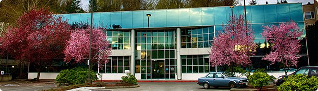 image of business Seattle Children