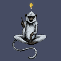 smart monkey design request a quote web design santa rosa ca monkey design