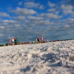 Siesta Key Beach gift card