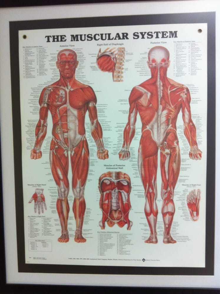 Palalay K C UW Medicine Belltown Clinic