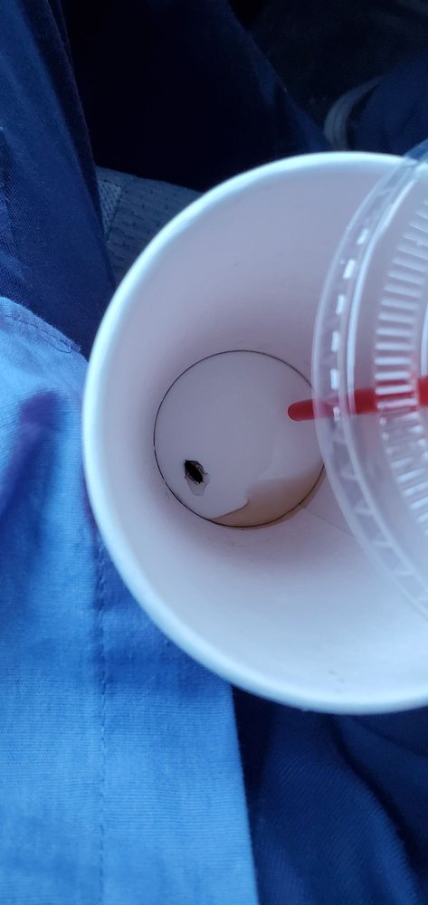 Flame Broiler