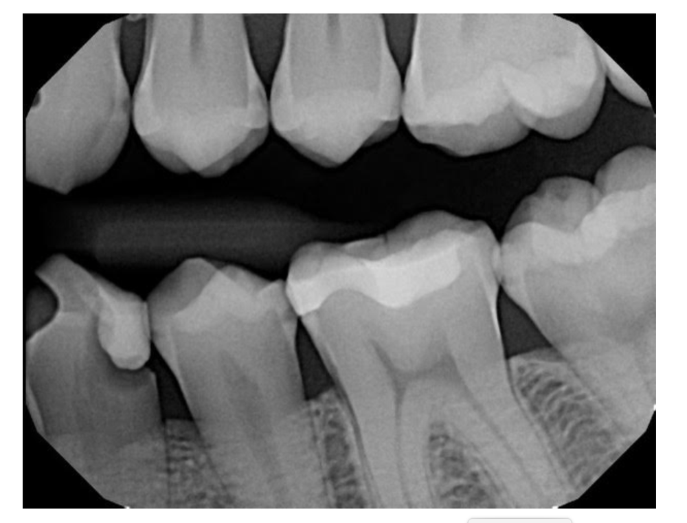 image of business Dove Dental Services