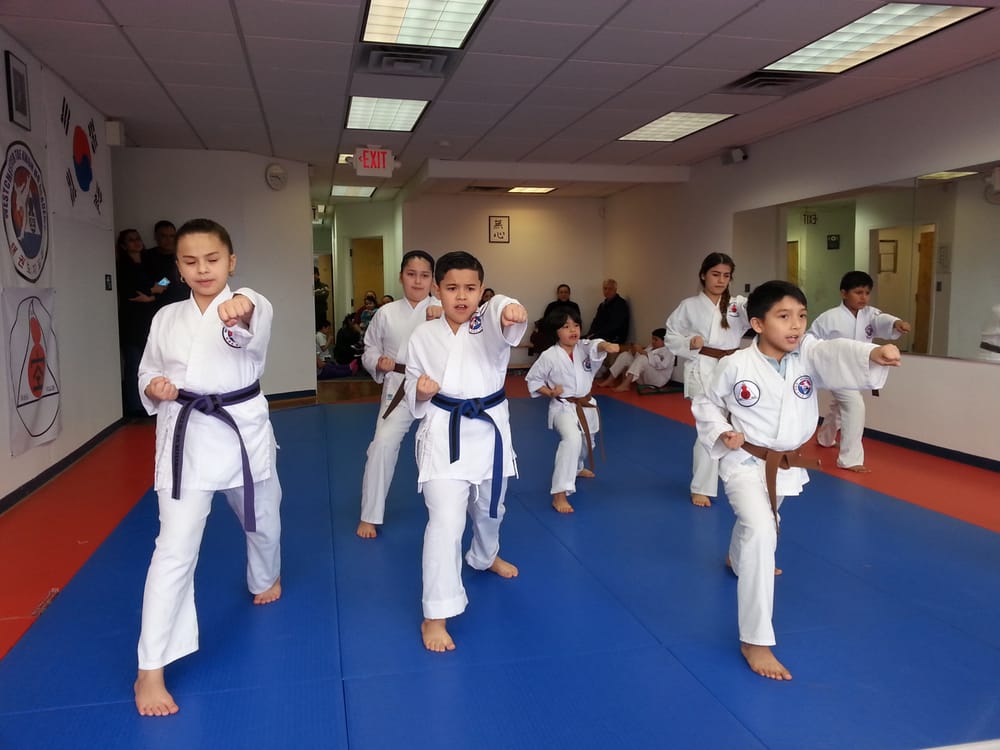Westchester Tae Kwon DO