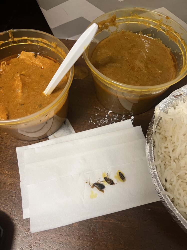 Curry Spot