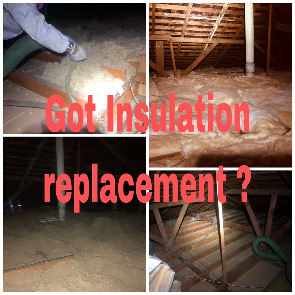 Attic Rescue