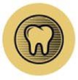 image of business D Street Dental