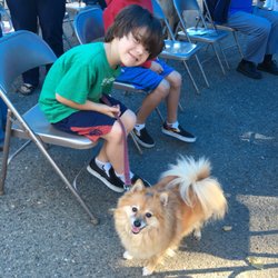Haven Dog Rescue Citrus Heights Haven Dog Rescue Citrus Heights