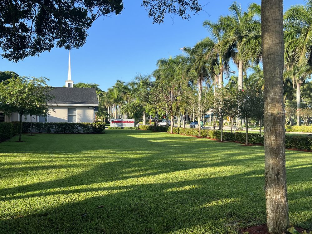 A Martinez Lawn Care & Landscaping Services