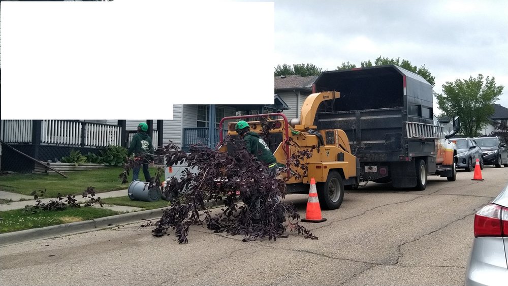 All Season Tree Service