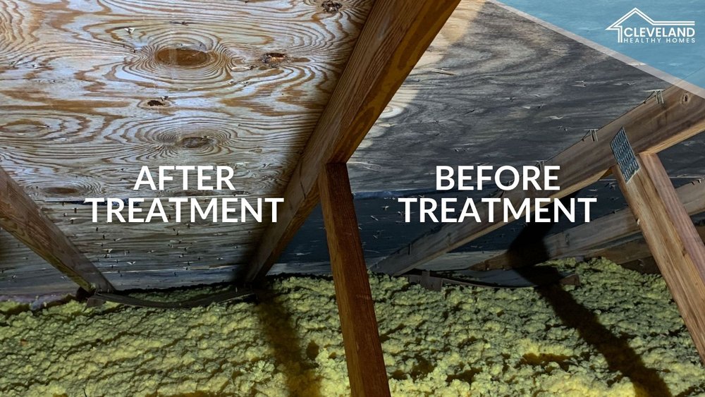 image of business Cleveland Healthy Homes