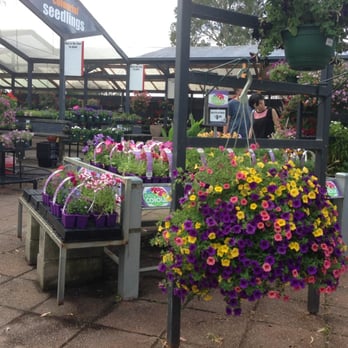 Gardenworld Nursery 2019 All You Need To Know Before Gardenworld Nursery 2019 All You Need To Know Before