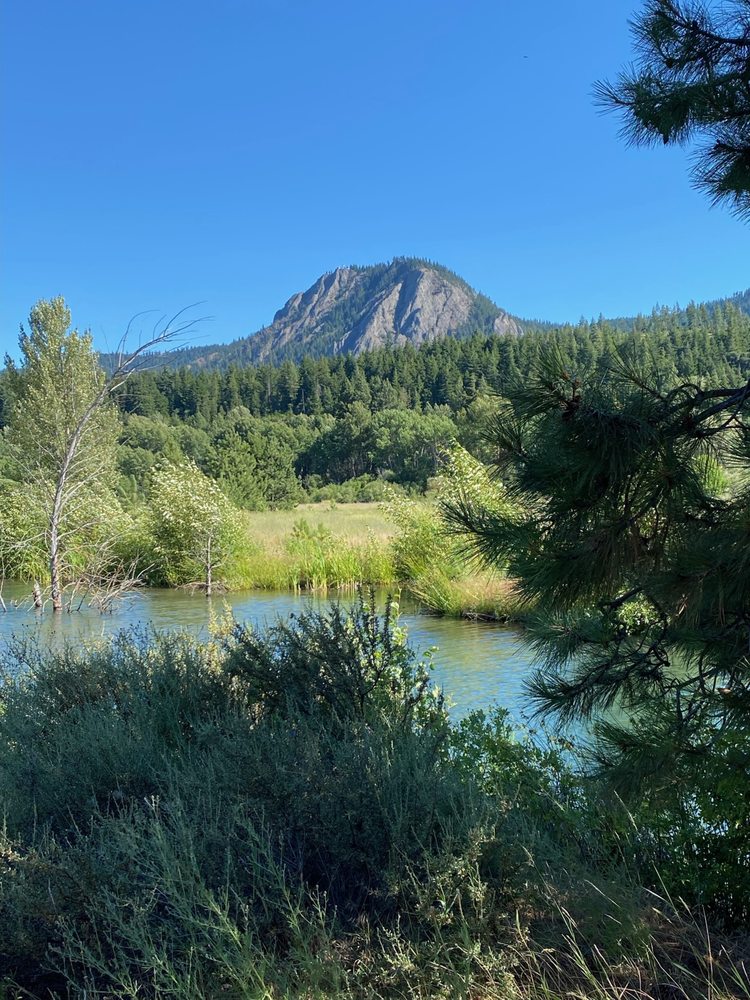 Miki Mobrand - LoanDepot