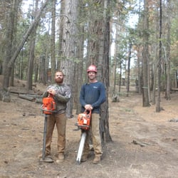 Clovis Tree Service 34 Photos 11 Reviews Services Photo Of Clovis Tree Service Ca United States Owners Brothers