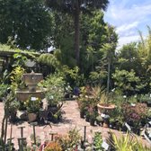 Berkeley Horticultural Nursery - 163 Photos & 144 Reviews - Nurseries