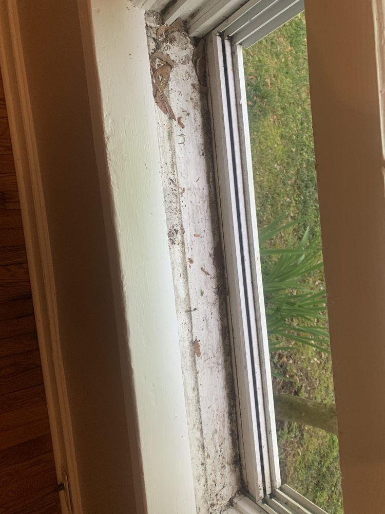 Fish Window Cleaning