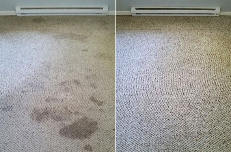 WNY Carpet Pro