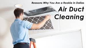 The Chimney Doctor