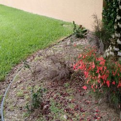 Keep It Green Nursery 16 Photos Nurseries Gardening 7075 N Photo Of Keep It Green Nursery Apollo Beach Fl United States